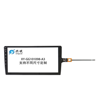 XY-GG101098-10.1-A3