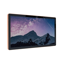 Wall-mounted advertising monitor